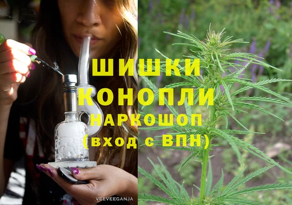 СК Богородицк