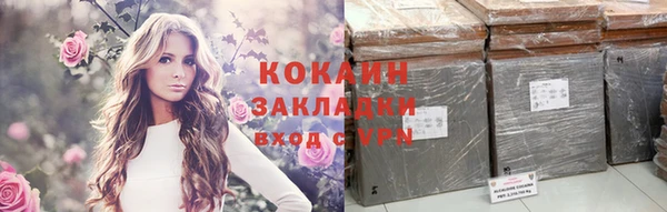 тгк Бородино