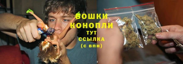 тгк Бородино