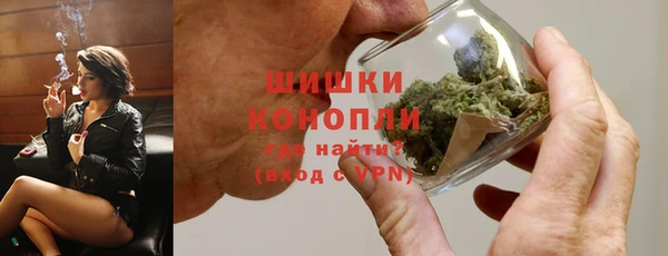 тгк Бородино