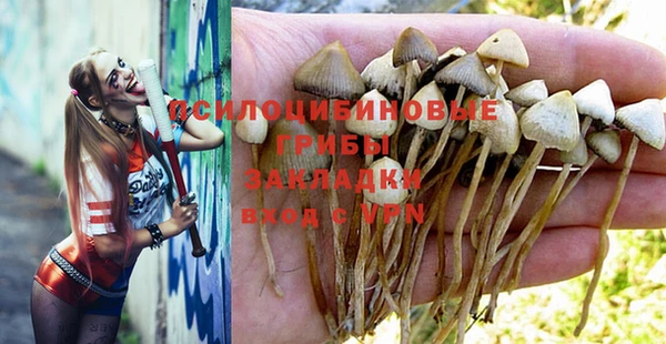 тгк Бронницы