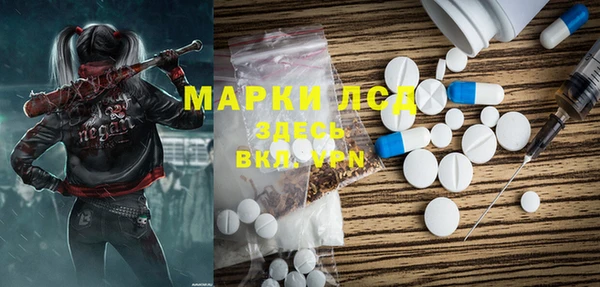 эйфоретик Богданович