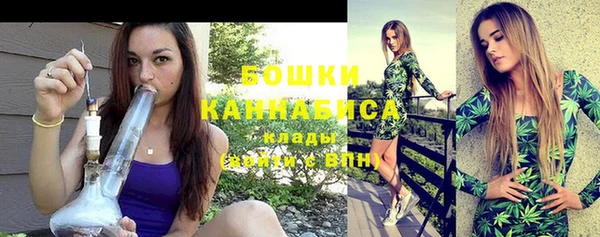 тгк Бронницы