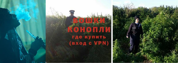 эйфоретик Богданович