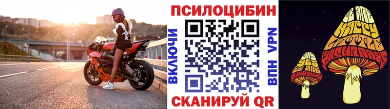 дарнет шоп Вяземский Псилоцибиновые грибы Magic Shrooms